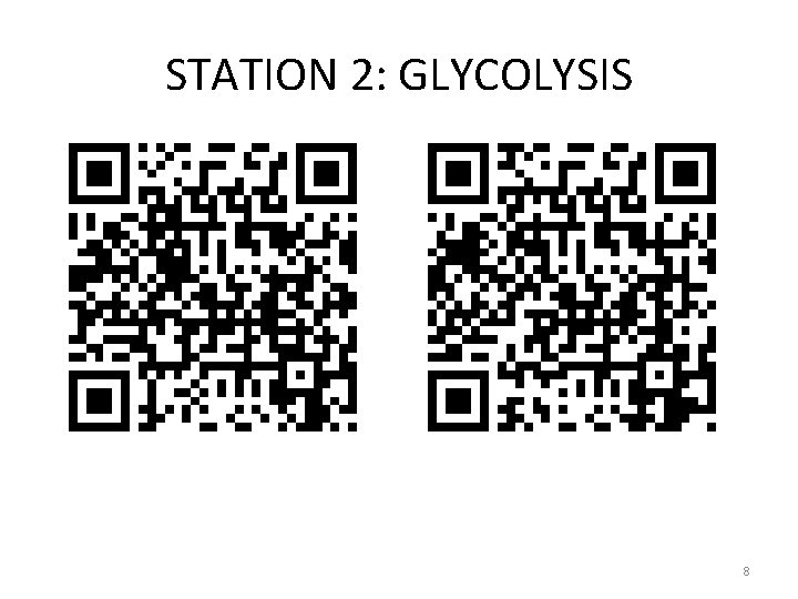 STATION 2: GLYCOLYSIS 8 