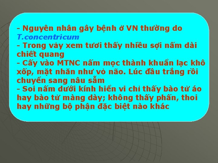 - Nguyên nhân gây bệnh ở VN thường do T. concentricum - Trong vảy