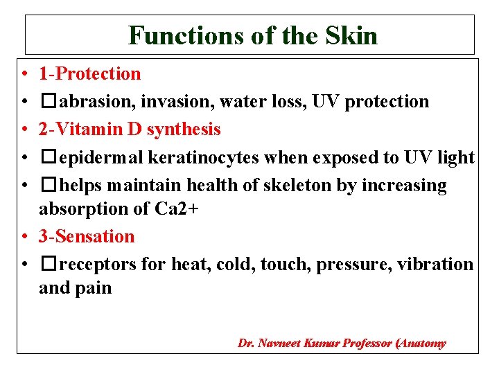 Functions of the Skin • • • 1 -Protection �abrasion, invasion, water loss, UV