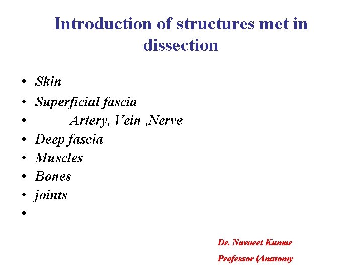 Introduction of structures met in dissection • • Skin Superficial fascia Artery, Vein ,