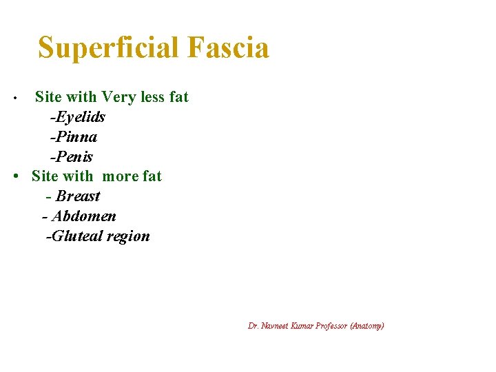 Superficial Fascia Site with Very less fat -Eyelids -Pinna -Penis • Site with more