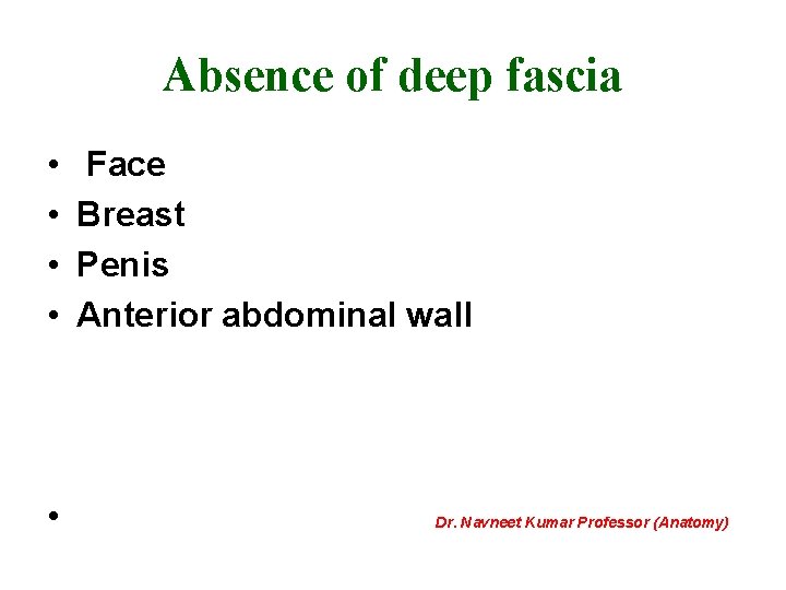 Absence of deep fascia • • • Face Breast Penis Anterior abdominal wall Dr.