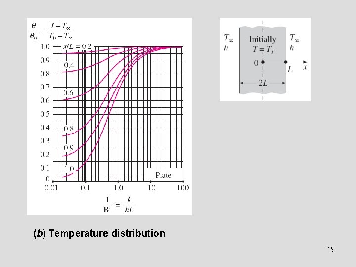 (b) Temperature distribution 19 (b) Temperature distribution 19