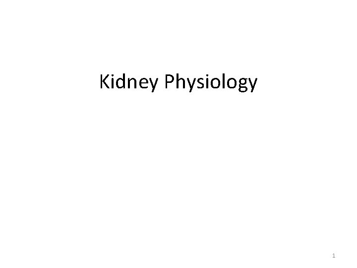 Kidney Physiology 1 