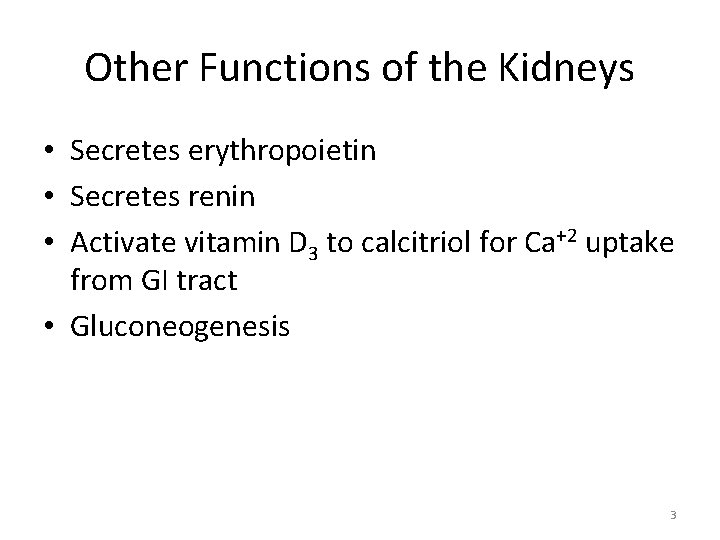 Other Functions of the Kidneys • Secretes erythropoietin • Secretes renin • Activate vitamin