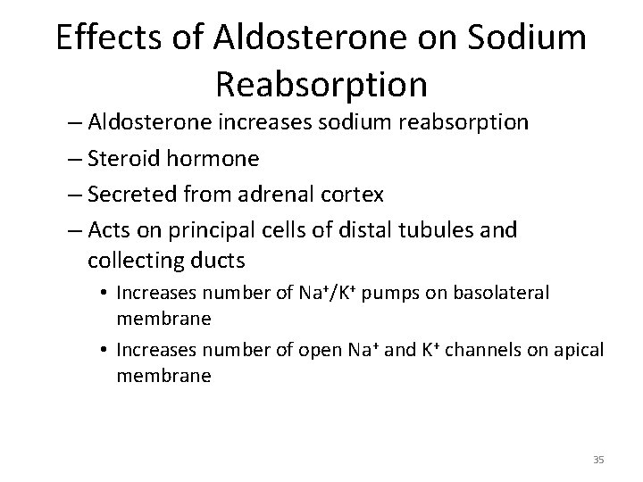 Effects of Aldosterone on Sodium Reabsorption – Aldosterone increases sodium reabsorption – Steroid hormone