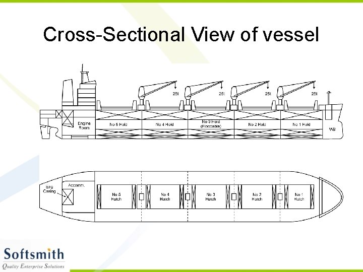 Cross-Sectional View of vessel 