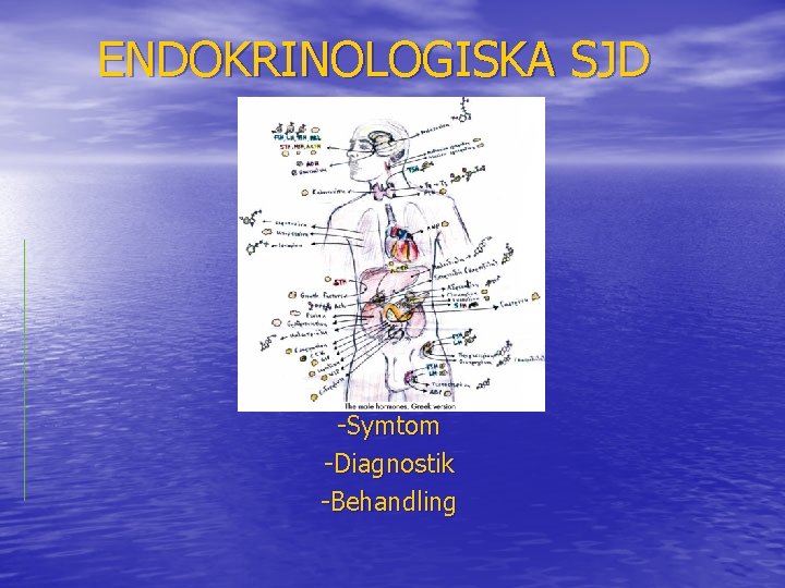 ENDOKRINOLOGISKA SJD -Symtom -Diagnostik -Behandling 