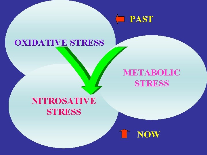 PAST OXIDATIVE STRESS METABOLIC STRESS NITROSATIVE STRESS NOW 