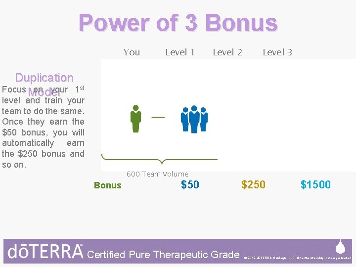Power of 3 Bonus You Level 1 Level 2 Level 3 Duplication Focus Model