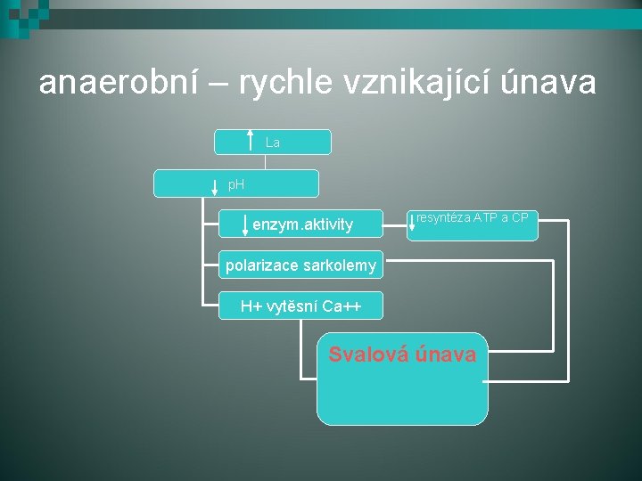 anaerobní – rychle vznikající únava La La p. H resyntéza ATP a CP enzym.