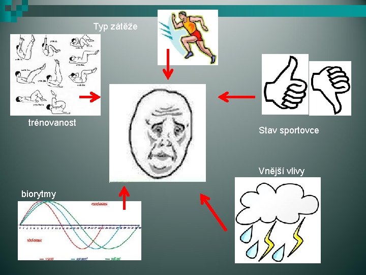 Typ zátěže trénovanost Stav sportovce únava biorytmy Vnější vlivy 