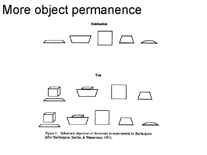 More object permanence 