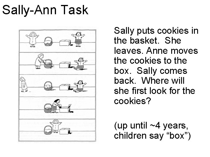 Sally-Ann Task Sally puts cookies in the basket. She leaves. Anne moves the cookies