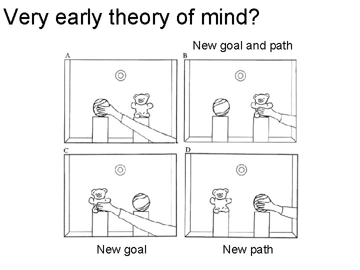 Very early theory of mind? New goal and path New goal New path 