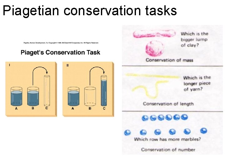 Piagetian conservation tasks 