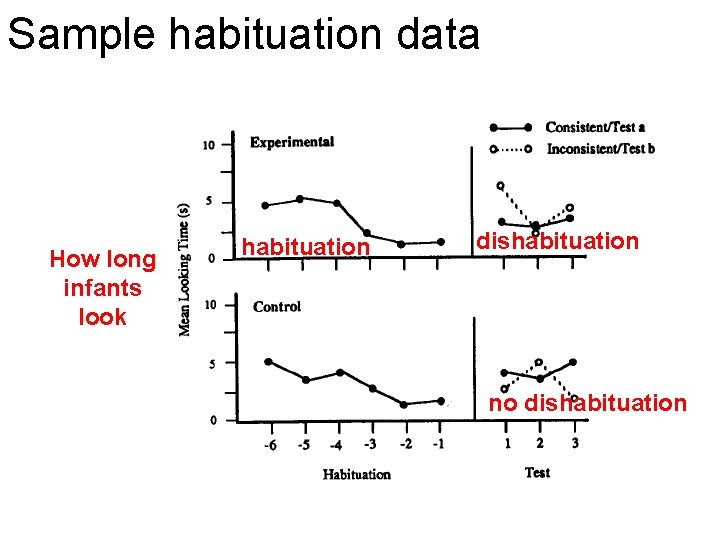 Sample habituation data How long infants look habituation dishabituation no dishabituation 