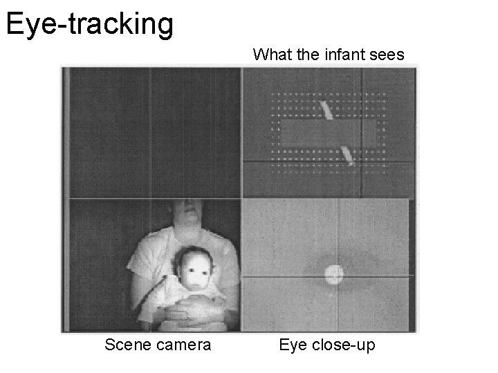 Eye-tracking What the infant sees Scene camera Eye close-up 