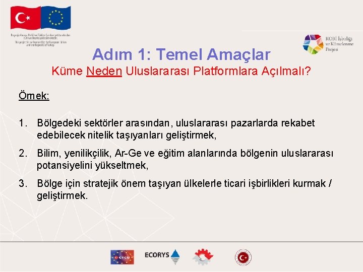 Adım 1: Temel Amaçlar Küme Neden Uluslararası Platformlara Açılmalı? Örnek: 1. Bölgedeki sektörler arasından,