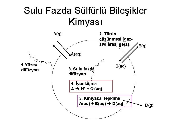 Sulu Fazda Sülfürlü Bileşikler Kimyası A(g) 2. Türün çözünmesi (gazsıvı arası geçiş B(g) A(aq)