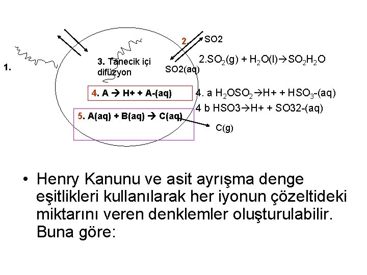 SO 2 2. 1. 3. Tanecik içi difüzyon 2. SO 2(g) + H 2