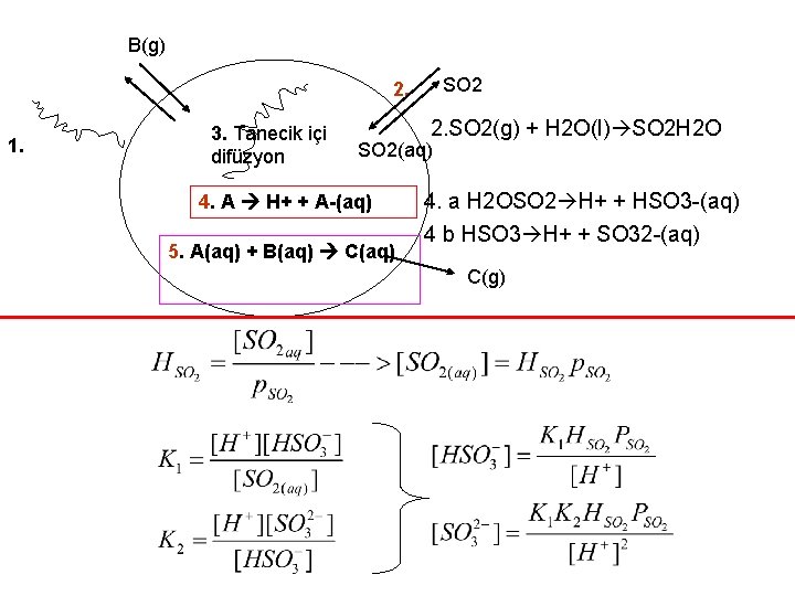 B(g) SO 2 2. 1. 3. Tanecik içi difüzyon 2. SO 2(g) + H