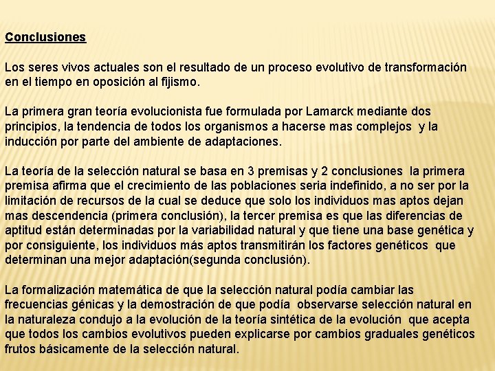 Conclusiones Los seres vivos actuales son el resultado de un proceso evolutivo de transformación