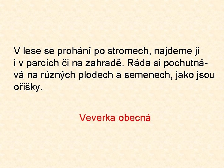 V lese se prohání po stromech, najdeme ji i v parcích či na zahradě.