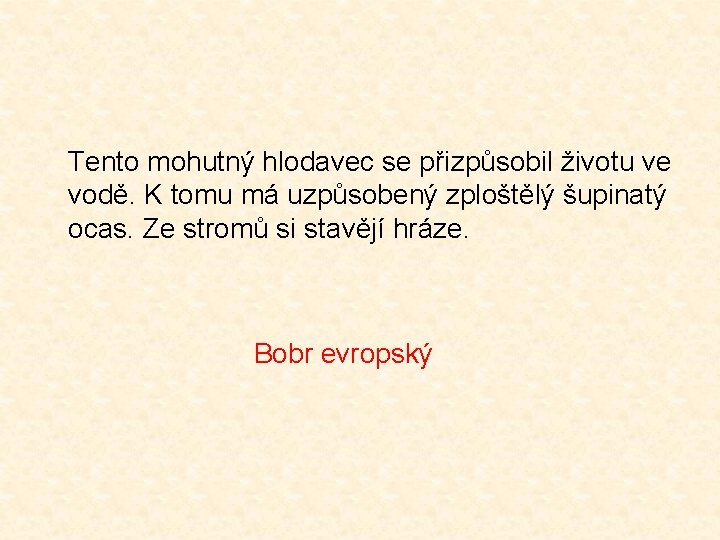Tento mohutný hlodavec se přizpůsobil životu ve vodě. K tomu má uzpůsobený zploštělý šupinatý