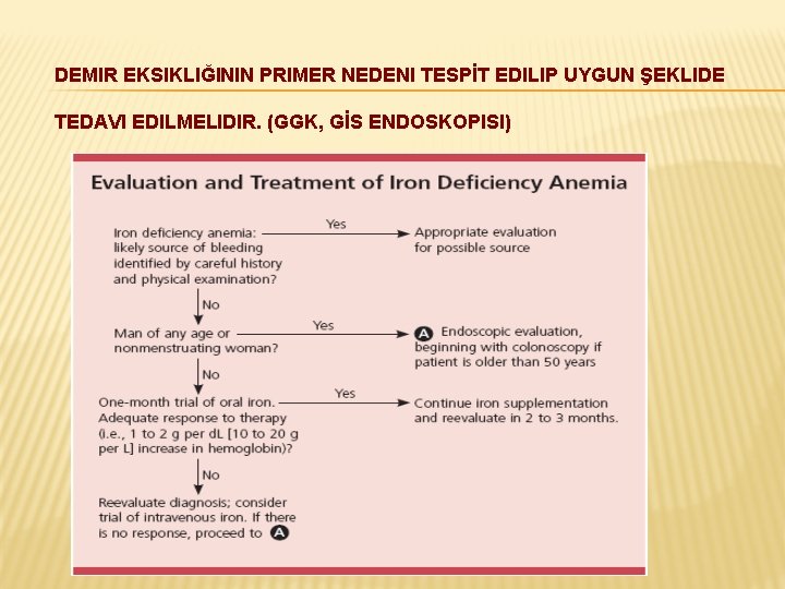 DEMIR EKSIKLIĞININ PRIMER NEDENI TESPİT EDILIP UYGUN ŞEKLIDE TEDAVI EDILMELIDIR. (GGK, GİS ENDOSKOPISI) 