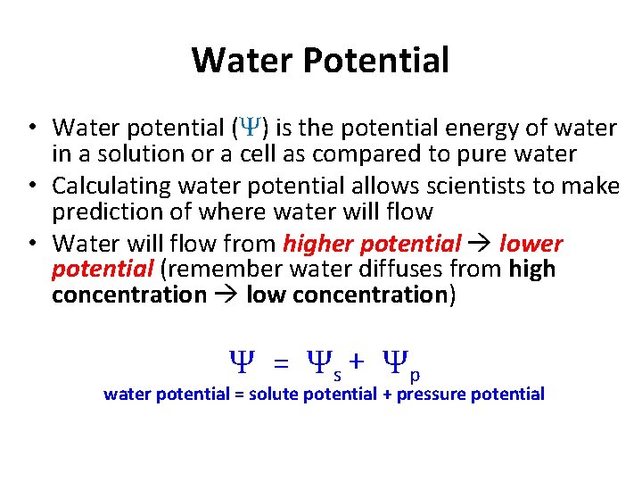 Water Potential • Water potential (Ψ) is the potential energy of water in a