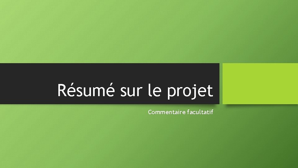 Résumé sur le projet Commentaire facultatif 