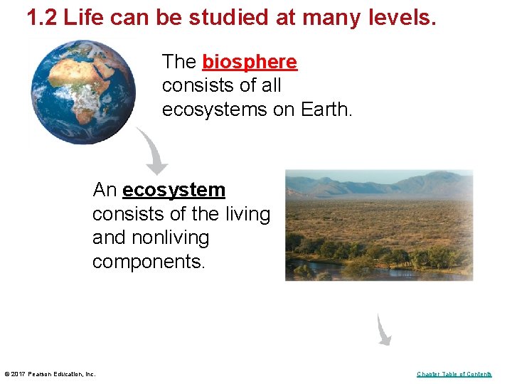 1. 2 Life can be studied at many levels. The biosphere consists of all 1. 2 Life can be studied at many levels. The biosphere consists of all