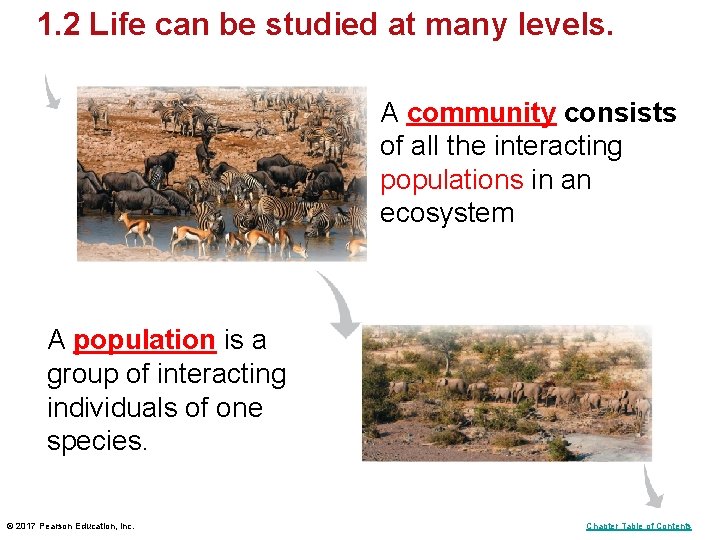 1. 2 Life can be studied at many levels. A community consists of all 1. 2 Life can be studied at many levels. A community consists of all