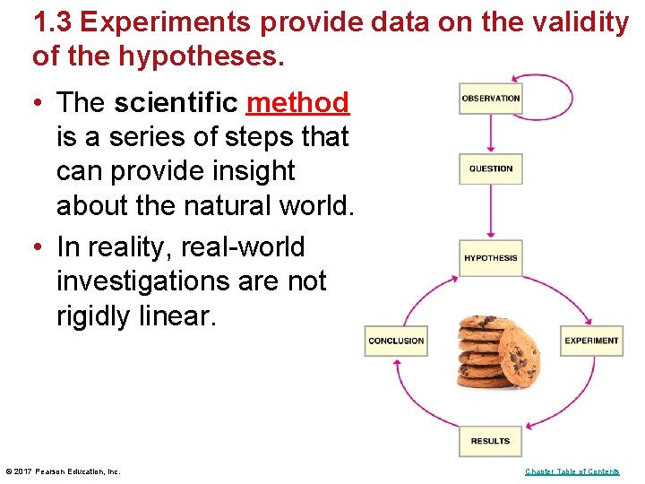 1. 3 Experiments provide data on the validity of the hypotheses. • The scientific 1. 3 Experiments provide data on the validity of the hypotheses. • The scientific
