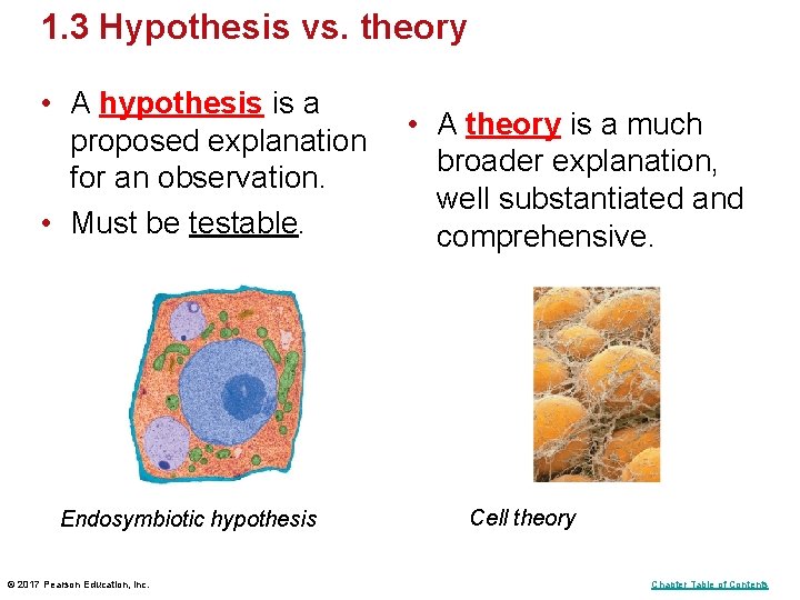 1. 3 Hypothesis vs. theory • A hypothesis is a proposed explanation for an 1. 3 Hypothesis vs. theory • A hypothesis is a proposed explanation for an