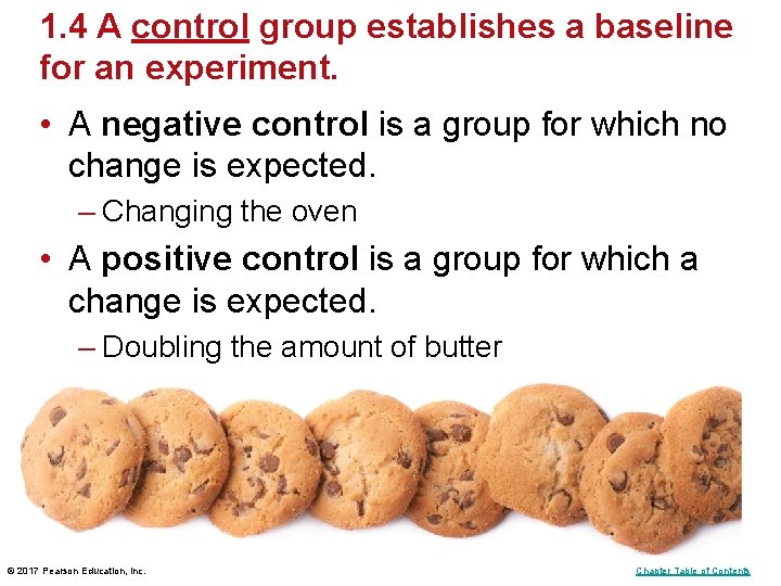 1. 4 A control group establishes a baseline for an experiment. • A negative 1. 4 A control group establishes a baseline for an experiment. • A negative