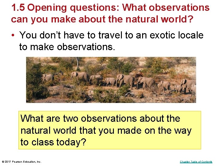 1. 5 Opening questions: What observations can you make about the natural world? • 1. 5 Opening questions: What observations can you make about the natural world? •