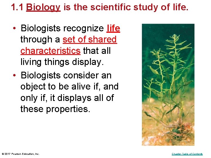 1. 1 Biology is the scientific study of life. • Biologists recognize life through 1. 1 Biology is the scientific study of life. • Biologists recognize life through