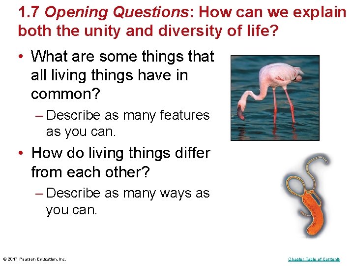 1. 7 Opening Questions: How can we explain both the unity and diversity of 1. 7 Opening Questions: How can we explain both the unity and diversity of