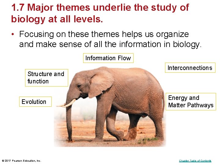1. 7 Major themes underlie the study of biology at all levels. • Focusing 1. 7 Major themes underlie the study of biology at all levels. • Focusing