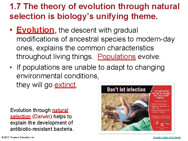 1. 7 The theory of evolution through natural selection is biology’s unifying theme. • 1. 7 The theory of evolution through natural selection is biology’s unifying theme. •