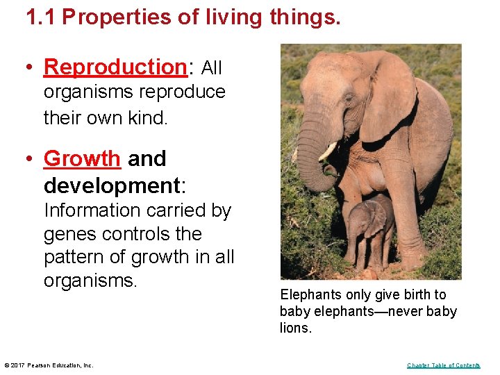 1. 1 Properties of living things. • Reproduction: All organisms reproduce their own kind. 1. 1 Properties of living things. • Reproduction: All organisms reproduce their own kind.