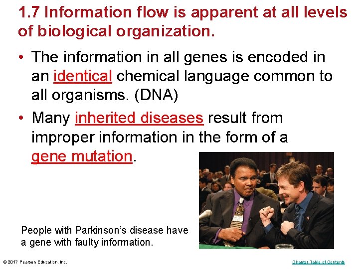 1. 7 Information flow is apparent at all levels of biological organization. • The 1. 7 Information flow is apparent at all levels of biological organization. • The