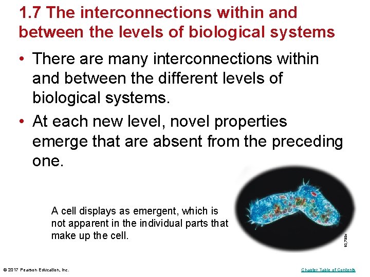 1. 7 The interconnections within and between the levels of biological systems • There 1. 7 The interconnections within and between the levels of biological systems • There