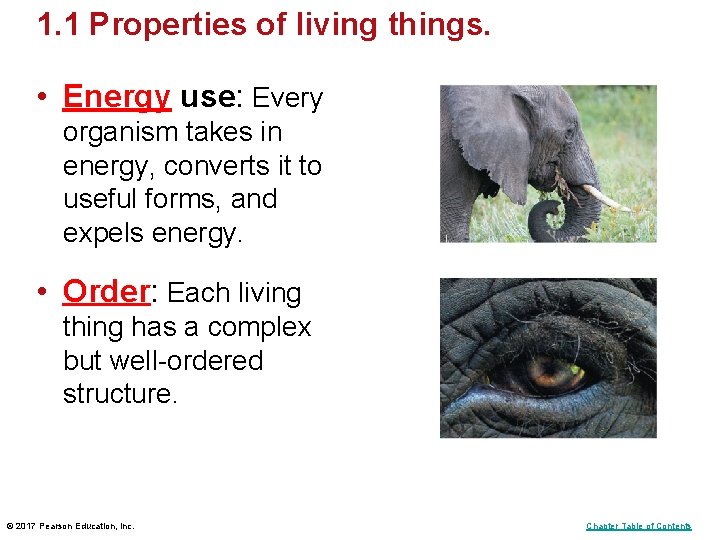 1. 1 Properties of living things. • Energy use: Every organism takes in energy, 1. 1 Properties of living things. • Energy use: Every organism takes in energy,