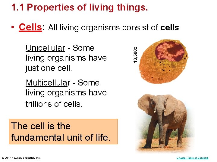 1. 1 Properties of living things. • Cells: All living organisms consist of cells. 1. 1 Properties of living things. • Cells: All living organisms consist of cells.
