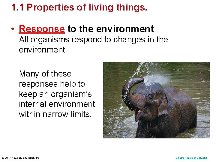 1. 1 Properties of living things. • Response to the environment: All organisms respond 1. 1 Properties of living things. • Response to the environment: All organisms respond