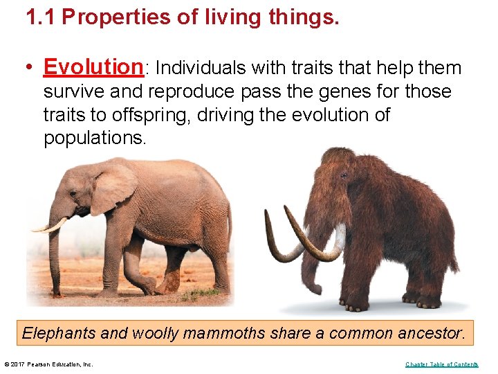1. 1 Properties of living things. • Evolution: Individuals with traits that help them 1. 1 Properties of living things. • Evolution: Individuals with traits that help them