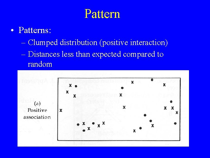 Pattern • Patterns: – Clumped distribution (positive interaction) – Distances less than expected compared